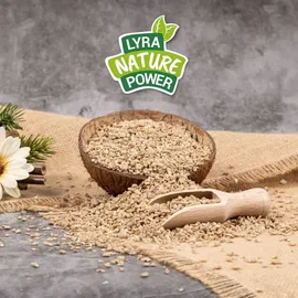 Lyra Pet 25 kg Sonnenblumenkerne geschält Bruch Neue Ernte