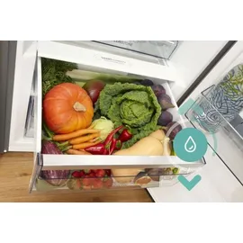 Gorenje R619DAXL6 Kühlschrank (398 l, 1850 mm hoch, Grau)