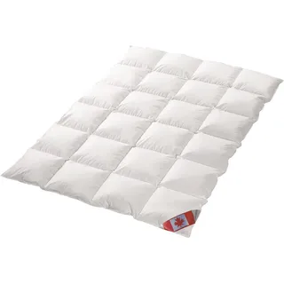 Schäfer Canadische Daune Übergangsdecke 100% Daunen Kassettenstegbett 2-cm Innensteghöhe canadische Daune 100% Natur Daunendecke 200x220 cm direkt vom Bettenfachgeschäft