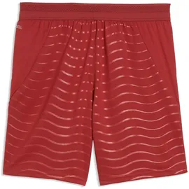 Puma Portugal Replica Shorts WM 2026 rot Kinder Gr. 152