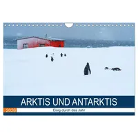 Calvendo Arktis und Antarktis - Eisig durch das Jahr