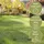 Kiepenkerl Rasensamen Sunny Green für trockene, Standorte 10 kg