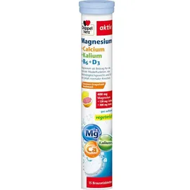 Queisser Doppelherz Magnesium + Calcium + Kalium