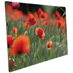 mySPOTTI Mini-Spritzschutz »Mohn«, Aluverbund, Mohnfeld