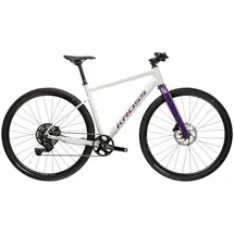 KROSS Gravelbike Esker 1.0 2026 28 Zoll RH 48 cm grau/lila