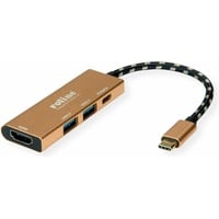 ROLINE & Portreplikator Kabelgebunden USB 3.2 Gen 2 (3.1 Gen 2) Type-C Gold