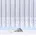 WECKBRODT Gardine WECKBRODT 16 300cm 175cm Jacquard Gardine Jacquard