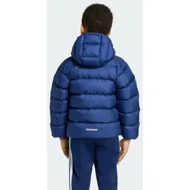 adidas Winterjacke Dark Blue/Team Royal Blue/Glow Blue 116
