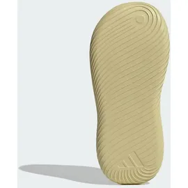 adidas Purechill Herren Sandy Beige 39 1/3