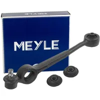 Meyle Lenker, Radaufhängung