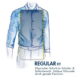 Ralph Lauren Polo Ralph Lauren Herren. Hemd blau gestreift, blau, Frühjahr/Sommer 2026