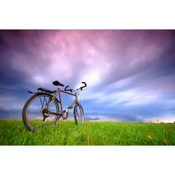 Fototapete PAPERMOON "Fahrrad in Grünland", bunt (mehrfarbig), B:3,5m L:2,6m, Vlies, Tapeten