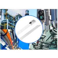 TRU Components TC-12647564 Stahlkabelbinder 360 mm 4.6 mm AISI