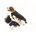 für Hunde 70 1 St
