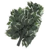 Europalms Ficuszweig 12x