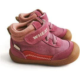 Wheat Prewalker Tody Tex Lila 23