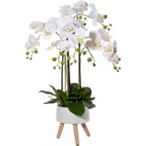 Creativ green Kunstorchidee »Orchidee Phalaenopsis in Keramikschale«, mit Real-Touch-Blüten und auf Füßen, weiß
