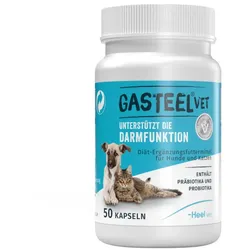 Gasteel Vet – Unterstützung der Darmfunktion von Hund & Katze