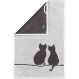 CAWÖ Gästetuch CUTE CATS & Me 6263 Platin/Basalt - BL 30x50 cm