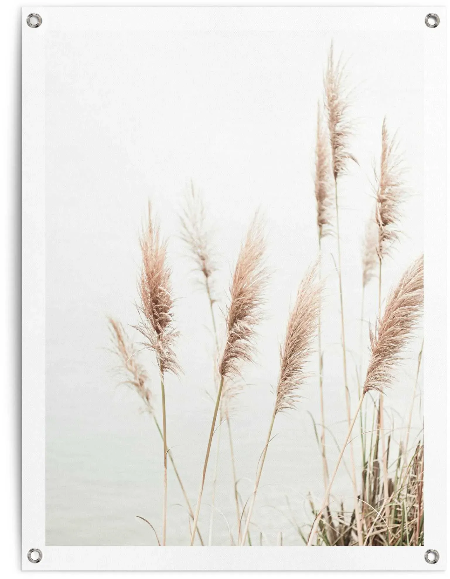 Poster REINDERS 