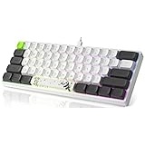 MIHIYIRY Mechanische Gaming-Tastatur 60 % mit roten Schaltern 61 Tasten mechanische Tastatur RGB Backlit, Compact Mini USB Wired Tastatur für WIN/Mac/PC (Panda-Thema)