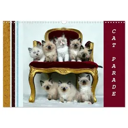 CAT PARADE (Wall Calendar 2025 DIN A3 landscape), CALVENDO 12 Month Wall Calendar