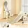 aiyaplay Kinderrutsche 3 in 1 Creme