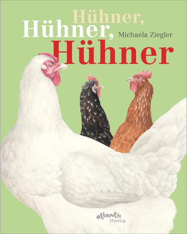 Hühner, Hühner, Hühner - Michaela Ziegler, Gebunden