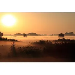 Fototapete PAPERMOON "SONNENUNTERGANG NEBEL LANDSCHAFT", bunt, B:4,00m L:2,60m, Vlies, Tapeten
