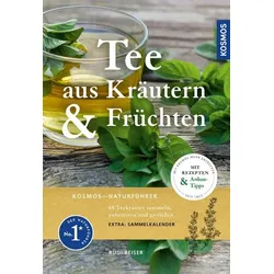 Tee aus Kräutern und Früchten