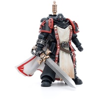 Warhammer BLOOMAGE JOYTOY (Beijing) TECH 40k Figur 1/18 Black Templars Primaris Sword Brethren Eberwulf 12 cm