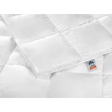 IRISETTE Daunendecke Nora extra warme Winterdecke mit Bezug aus 100% Baumwolle. Füllung aus 100% Daunen der Klasse I, 155 x 220 cm, Öko-Tex Zertifiziert, produziert nach deutschem Qualitätsstandard