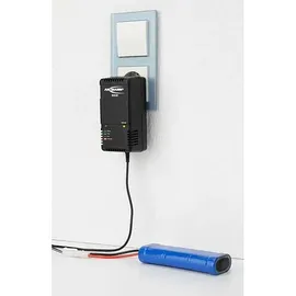 Ansmann Akku-Ladegerät 12V