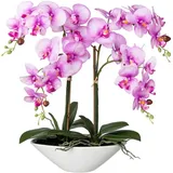 Creativ green Kunstorchidee »Deko-Orchidee Phalaenopsis in Keramikschale«, lila