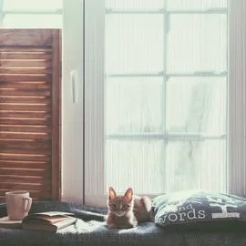 Relaxdays Fadenvorhang 2er Set, kürzbare Fadengardinen mit Stabtunnel, 90 x 245 cm, Türgardine & Raumteiler, weiß