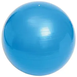 Witeblaze Gymnastik Ball blau 55cm