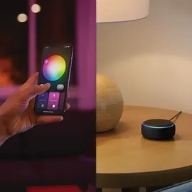 Philips Hue White & Color Ambiance Infuse 42,5 cm weiß