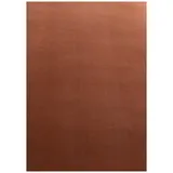 Ayyildiz Teppich SKY braun B/L: ca. 80x150 cm,