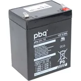 PBQ Blei Akku 2,9-12 2900 mAh 1 St.