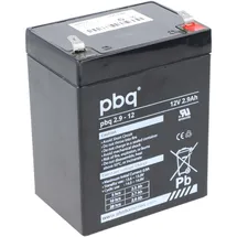 PBQ Blei Akku 2,9-12 2900 mAh 1 St.