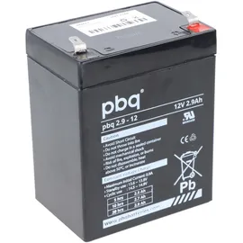 PBQ Blei Akku 2,9-12 2900 mAh 1 St.