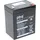 PBQ Blei Akku 2,9-12 2900 mAh 1 St.