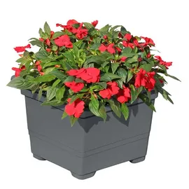 Gartenpirat Pflanzkübel 32 x 32 x 26 cm Grau