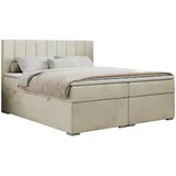 MKS Meble Boxbett mit Bettkasten - beige - Maße (cm): B: 200 H: 118