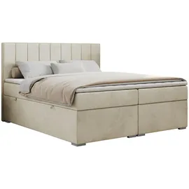 MKS Meble Boxbett mit Bettkasten - beige - Maße (cm): B: 200 H: 118