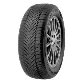 MINERVA S210 225/55 R17 101V