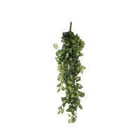 Mica decorations Mica künstliche Fittonia hängend grün 80 x