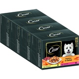Cesar Adult Hundenassfutter Selektion in Gelee, 48 Portionsbeutel, 12x100g (4er Pack) – Ausgewogenes Premium Hundefutter nass, mit Huhn & Rind