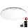 Steinel RS PRO S20 SC 1 LED warmweiß Kunststoff
