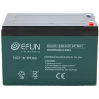SHENZEN Akku 12 Volt 14 Ah für Elektro Fahrzeuge